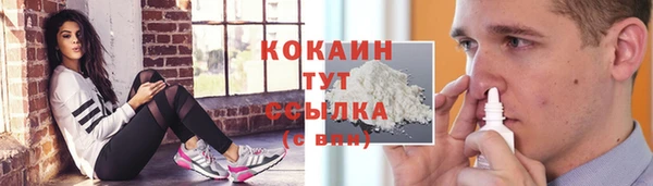 амф Коряжма