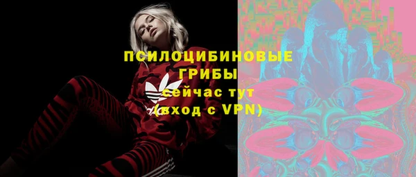 каннабис Корсаков