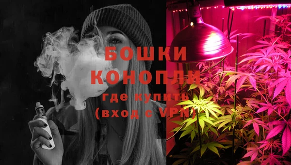 каннабис Корсаков