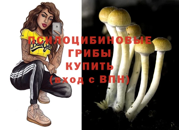 каннабис Корсаков
