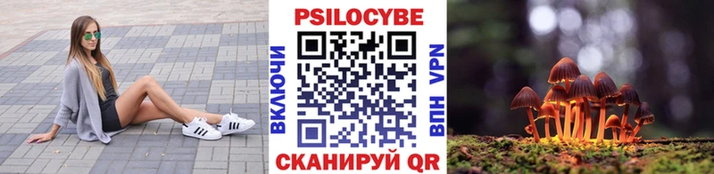 Купить где  Курчатов  Псилоцибиновые грибы GOLDEN TEACHER 